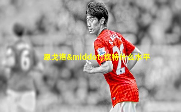 恩戈洛·坎特什么水平