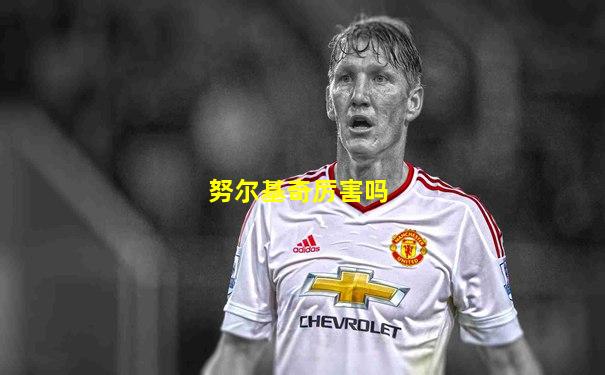 努尔基奇厉害吗