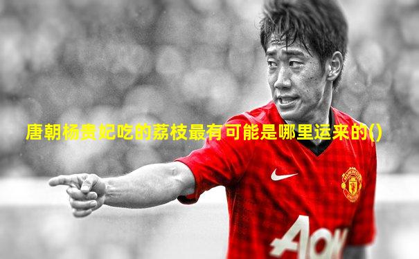 唐朝杨贵妃吃的荔枝最有可能是哪里运来的()