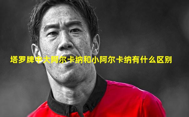 塔罗牌中大阿尔卡纳和小阿尔卡纳有什么区别