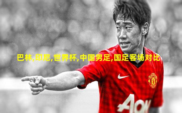 巴林,印尼,世界杯,中国男足,国足客场对比