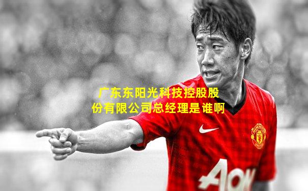广东东阳光科技控股股份有限公司总经理是谁啊