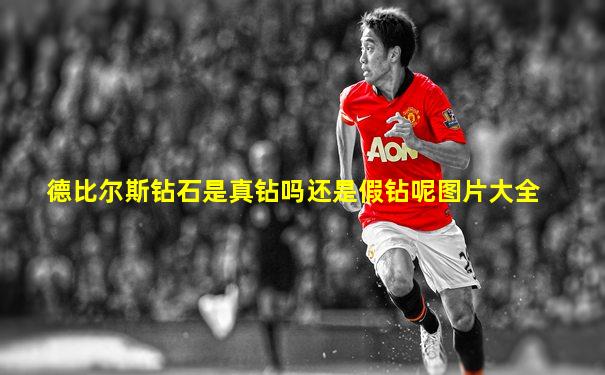 德比尔斯钻石是真钻吗还是假钻呢图片大全