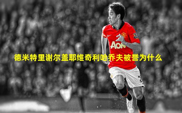 德米特里谢尔盖耶维奇利哈乔夫被誉为什么