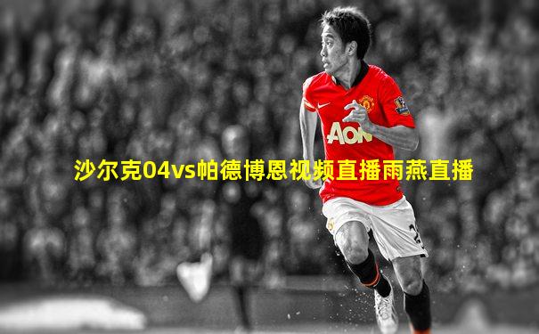 沙尔克04vs帕德博恩视频直播雨燕直播