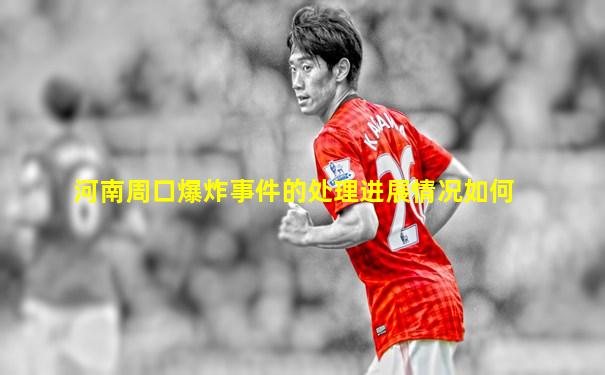 河南周口爆炸事件的处理进展情况如何