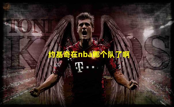 约基奇在nba哪个队了啊