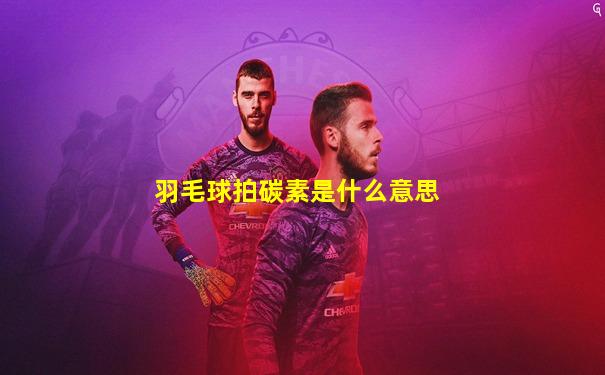 羽毛球拍碳素是什么意思